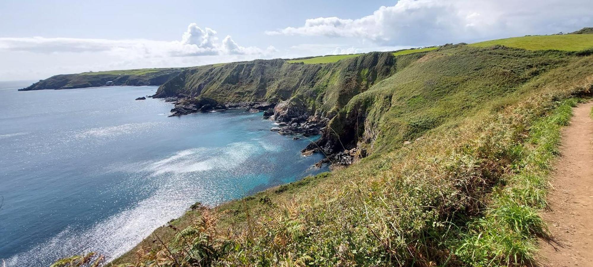 Cadgwith Cove Inn Buitenkant foto